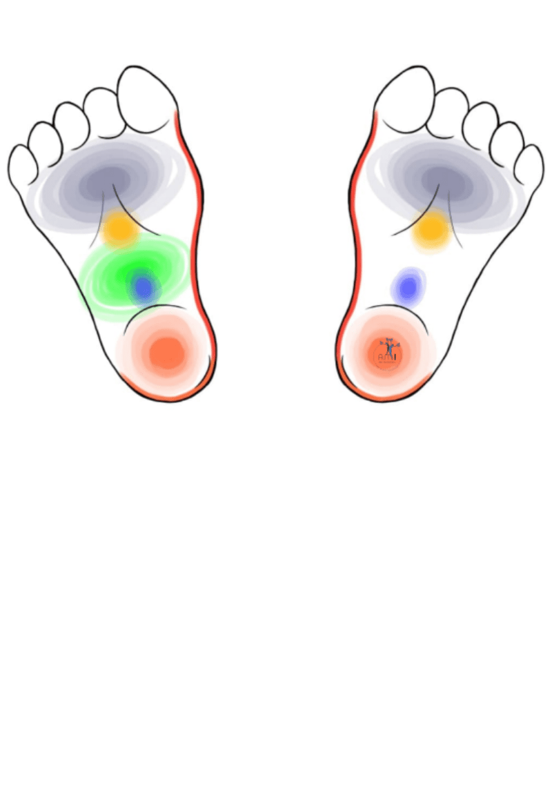 points de pression qui correspond au organe de bébé